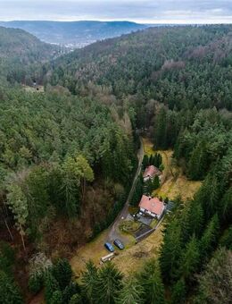 *Liegenschaft in Alleinlage* - Waldgrundstück in Jena-Ammerbach - Jena