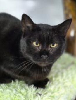 Djamila und Morris suchen ihr Glück - München