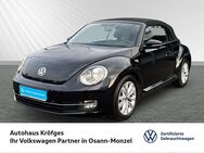 VW Beetle, 1.2 TSI Cabrio Design, Jahr 2013 - Osann-Monzel