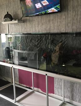 Aquarium 1000l - Brühl Zentrum