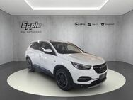 Opel Grandland, 2.0 Ultimate D EU6d-T, Jahr 2019 - Rutesheim