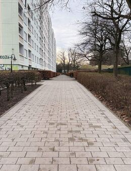 Gut geschnittene 2-Zimmer-Wohnung | Aufzug | Balkon | Frei - Glinde