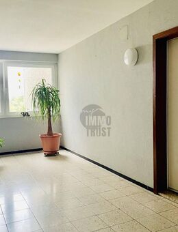 IHR NEUES ZUHAUSE: GEPFLEGTE 3-ZIMMER-WOHNUNG MIT SONNIGEM BALKON IN BEGEHRTER WOHNLAGE - Wolfsburg