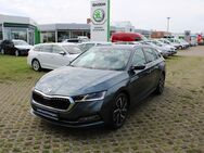 Skoda Octavia, 1.4 TSI Style iV LICHT STAN, Jahr 2021 - Güstrow