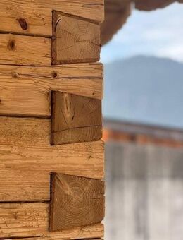 My Alp Chalet - Luxury - Mobile Home - Bad Aibling