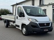 Fiat Ducato 35 150 L5 Pritsche EXTRA LANG*1-HAND* - Sehnde