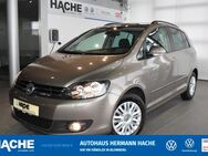 VW Golf Plus, 1.6 TDI Life, Jahr 2013 - Blomberg (Nordrhein-Westfalen)