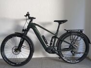 E- Bike Trekking SUV - Aspach