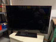 Fernseher Samsung 40" - Ingelheim (Rhein)