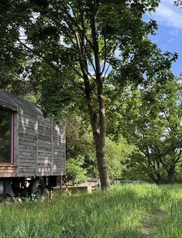 Tinyhaus-Grundstück 1652 qm im Landschaftsschutzgebiet,Nebengebäude, ca.90 Min. von Berlin - Blankensee (Landkreis Vorpommern-Greifswald)