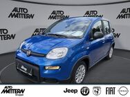 Fiat Panda, 1.0 Hybrid TFT Tacho, Jahr 2024 - Herford (Hansestadt)