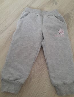 Barmy Jogginghose 80 - Halberstadt