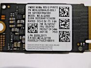 Samsung 256GB M.2 SSD SSS0L25171 NVMe PCIe 3.0 x2 MZALQ256HAJD-000L1 MZ-ALQ2560 - Radolfzell (Bodensee) Zentrum