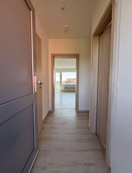 Gemütliche 1 -Zimmerwohnung mit Sonnenbalkon - Wolfenbüttel