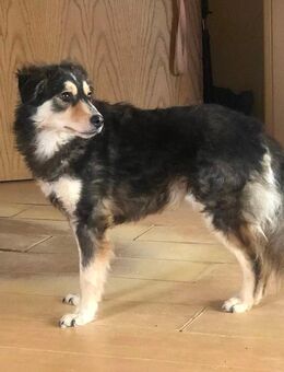 Zuckersüßer joda - Wassenberg Zentrum