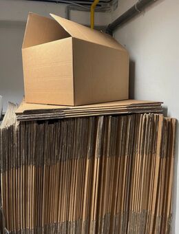 Zuverlässiges Paar sucht 2-3-Zimmer-Wohnung ab Feb. 2026 – Ort flexibel - Kassel Forstfeld