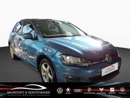 VW Golf, 1.4 TSI VII Allstar, Jahr 2016 - Sigmaringen