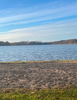 Rentner sucht Mailfreundschaft - Seedorf (Landkreis Segeberg)