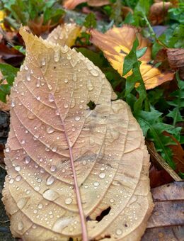 Positive Zeit - Dortmund