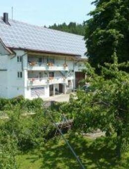 Ferienwohnung, Fewo, Überlingen - Stockach, Bodensee, W-Lan 55 € - Stockach Zentrum