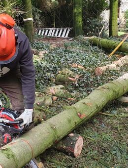 Zuverlässige Hilfe bei Möbelaufbau, Gartenarbeit & kleinen Reparaturen (Raum Aachen) - Aachen