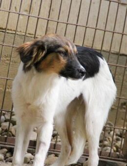 Juliana möchte die Welt erobern - Schwabach