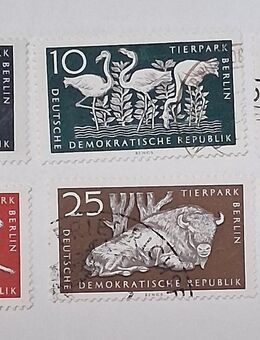 DDR 1956 Tierpark Berlin Satz komplett gestempelt - Görlitz