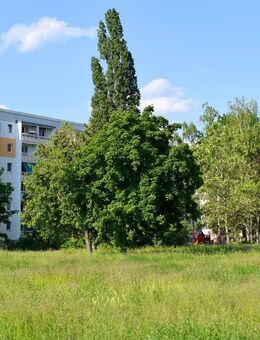 3-Zimmer-Wohnung wie für Sie gemacht! - Cottbus