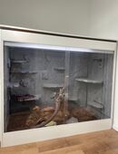 Terrarium abzugeben in 52499