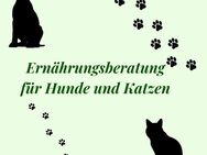 Ernährungsberatung für Hunde & Katzen – Artgerecht, ausgewogen & bedarfsgerecht füttern! ab 15€ - Duisburg