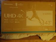 Hisense 43E6NT 4K Ultra HD LED Smart-TV 43 Zoll - Lüdenscheid