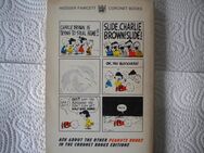 Slide,Charlie Brown,Slide,Charles M.Schulz,Coronet Books,1970 - Linnich