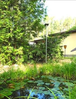 Natur. Ruhe. Lebensqualität - Bungalow mit Garten nur 3 Gehminuten vom Wolziger See - Zossen