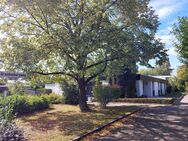 Eckbungalow mit separater Einliegerwohnung mit schönem Garten in exponierter Lage - Ulm