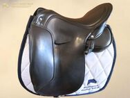 Signum Omega Working-Equitation 17,0" ⭐SEHR GUTER ZUSTAND⭐ - Neumünster