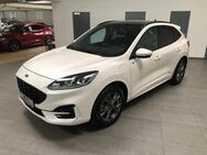 Ford Kuga 2.5 Duratec Plug-In Hybrid ST-Line - Bad Oeynhausen