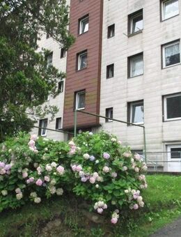 Renovierte 3 - Zimmer Wohnung in Stadtlage! - Passau