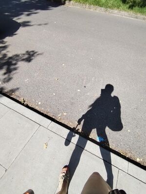 Profil
