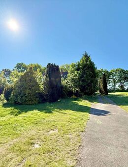 Idyllisches 2.320 m² großes Grundstück mit sanierungsbedürftigem Haus - PROVISIONSFREI - Steimbke