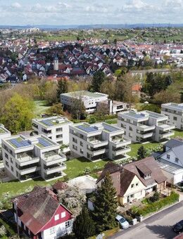 Helle 2-Zimmer-Wohnung mit Süd-Terrasse & Gartenanteil. - Ludwigsburg