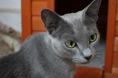 Profil