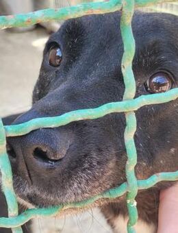 Dajana - Blick trifft Herz - Obertshausen