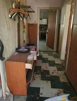 Sanierungsbedürftiges Landhaus mit Gästehaus und traumhaftem Naturgarten bei Dannenberg (Elbe) - Dannenberg (Elbe) Zentrum