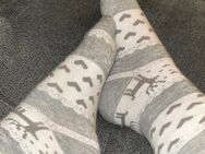 Getragene Socken - Selm Zentrum