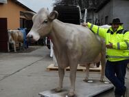 Holstein - Friesian 3D Kuh lebensgroß - Modell der neuen Generation wir bei uns sehr viel gekauft ... - Heidesee