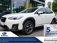 Subaru XV, 1.6 Exclusive, Jahr 2023 - Düsseldorf