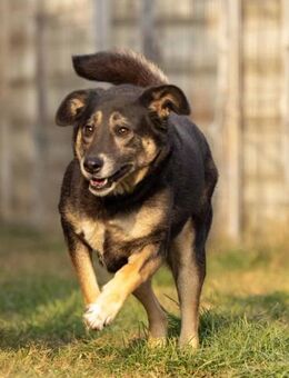 süsse Bubulina - Kallmünz
