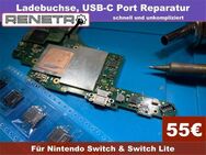 Nintendo Switch, LCD, Display,Touchscreen, Reparatur (screen fix) - Hainichen Zentrum