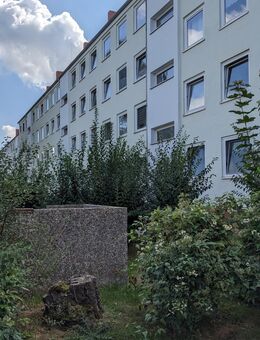 Nachmieter für schöne drei Zimmer Wohnung - Salzgitter Zentrum