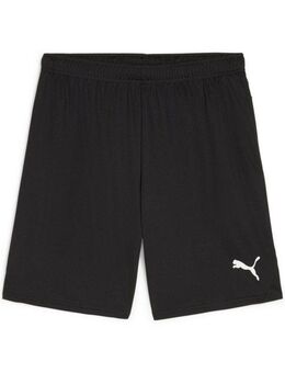PUMA Trainingsshorts TEAMGOAL SHORTS